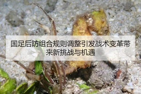 国足后防组合规则调整引发战术变革带来新挑战与机遇
